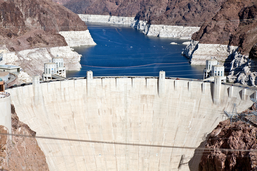 Vegetation Management at Levees, Floodwalls and Dams