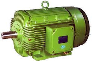 Energy Efficient Electric Motor Selection