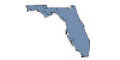 Florida Discount Packages - Florida Laws & Rules - AOP PE PDH Courses Florida