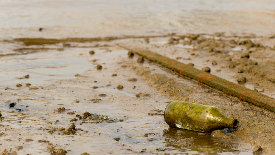 Brownfields Road Map to Understanding Options for Site Investigation and Cleanup