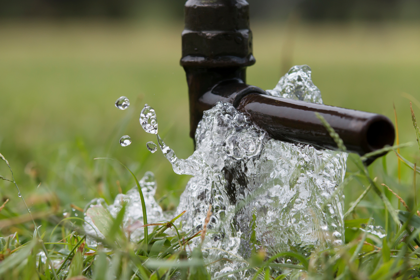 Landscaping for Water Efficiency