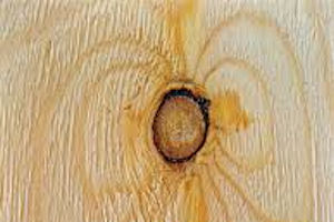 Wood Structure and its Physical Properties